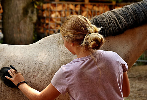 We kijken op de rug van een jong meisje. Ze is haar pony aan het poetsen. In haar linkerhand houdt ze een grove borstel, waarmee ze over de flank van haar pony gaat. Het meisje heeft lichtblond haar in een dotje. Ze draagt een roze t-shirt met korte mouwen. De pony is een schimmel met grijze spikkels.