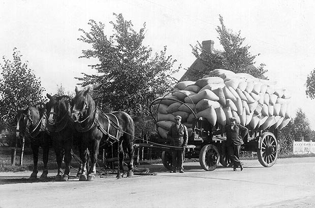 Oude zwartw-wit foto van een voerman en een platte wagen. Voor de wagen staan drie zware paarden, type Brabants trekpaard, die opvallend groot en recht gekoot zijn. De paarden dragen een houten gareel en en een hoofdstel met oogkleppen. De voerman draagt een pet en een lederen jas. Hij staat links naast de wagen, met zijn rechterhand in zijn jaszak. In zijn linkerhand houdt hij de leidsels. De wagen is hoog gestapeld met grote, lichtkleurige juten zakken, waar graan of iets dergelijks in zit. Leunend tegen de wagen staat iets achter de voerman een man met een mooi kostuum. Hij ziet er deftig en belangrijk uit, en glimlacht. Dit is de eigenaar van de voederfabriek.